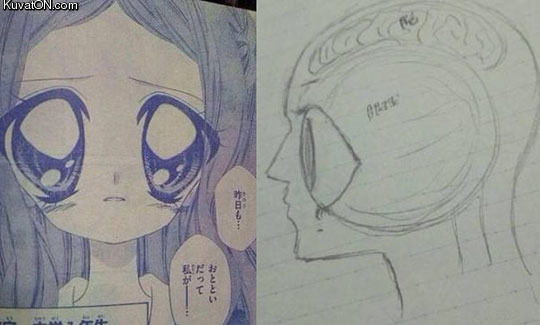 Name:  manga_anatomy.jpg
Views: 716
Size:  40,3 KB