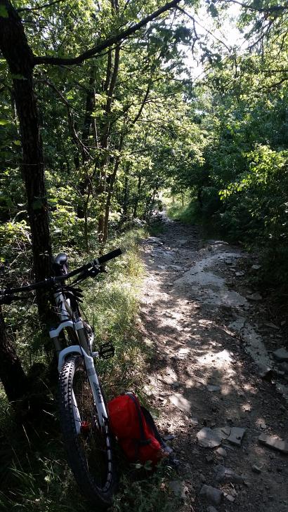 Name:  mtb.jpg
Views: 319
Size:  100,5 KB