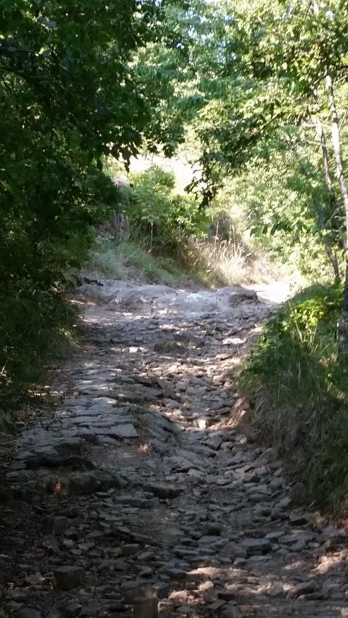 Name:  mtb3.jpg
Views: 331
Size:  106,0 KB