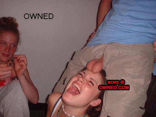 Name:  justsoftandroundballs.jpg
Views: 132
Size:  31,5 KB