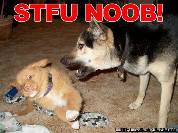 Name:  Little Dog Owned!.jpg
Views: 118
Size:  55,1 KB
