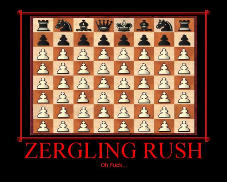 Name:  chesszerg.jpg
Views: 987
Size:  66,2 KB