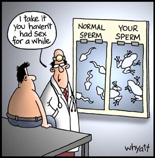 Name:  sperm.jpg
Views: 677
Size:  53,4 KB
