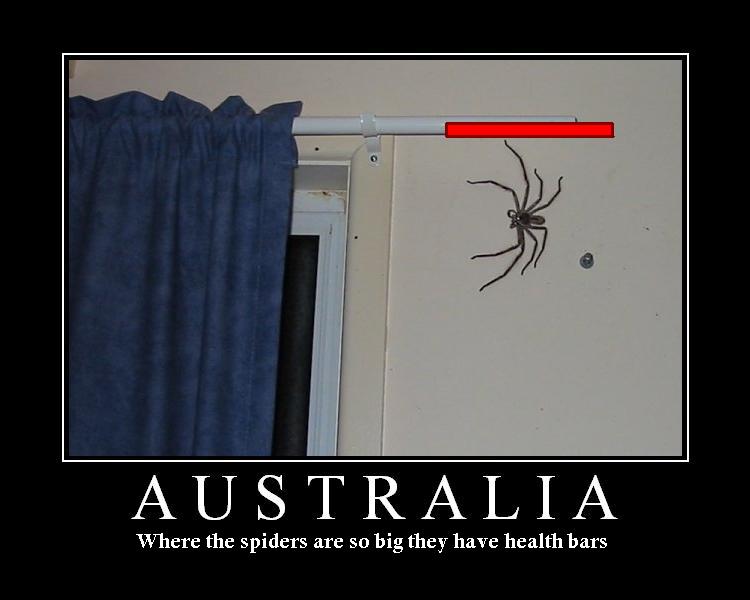 Name:  MOTspider health bar.jpg
Views: 948
Size:  37,2 KB