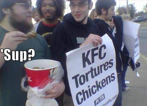 Name:  KFC.jpg
Views: 769
Size:  69,6 KB