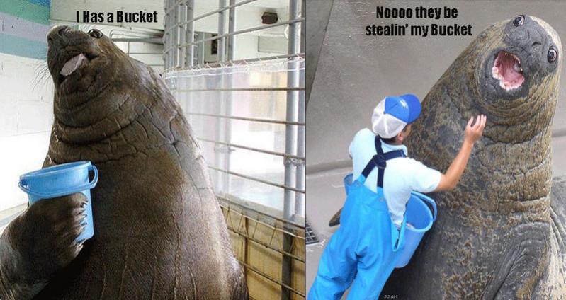 Name:  bucket.jpg
Views: 956
Size:  61,8 KB