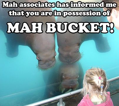 Name:  bucket3.jpg
Views: 931
Size:  35,3 KB