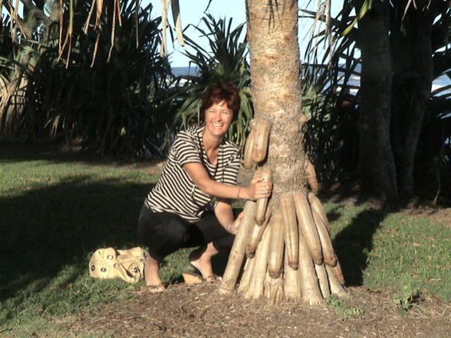 Name:  dicktree.jpg
Views: 693
Size:  63,9 KB
