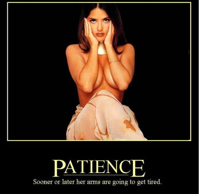 Name:  MOTpatience.jpg
Views: 565
Size:  40,6 KB