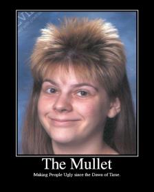 Name:  MOTmullet2.jpg
Views: 630
Size:  10,1 KB