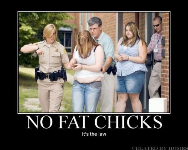 Name:  MOTfat chicks.jpg
Views: 782
Size:  39,7 KB
