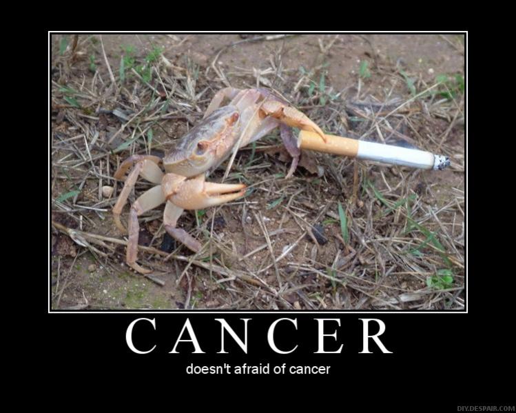 Name:  MOTcancer.jpg
Views: 897
Size:  67,2 KB