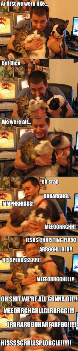Name:  fight-large.jpg
Views: 589
Size:  76,9 KB