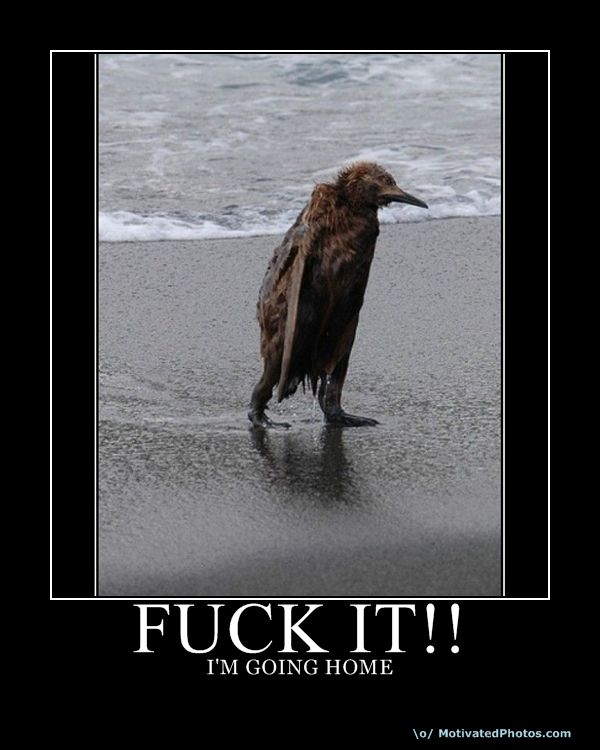 Name:  MOTfuck it.jpg
Views: 600
Size:  57,5 KB