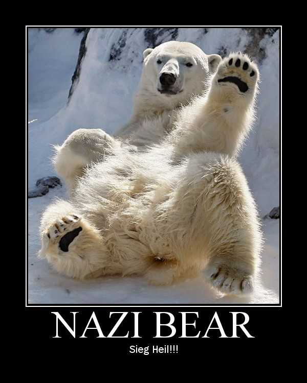 Name:  MOTsieg heil.jpg
Views: 1078
Size:  91,8 KB