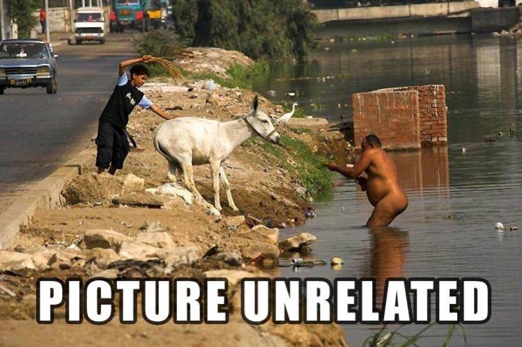 Name:  unrelated.jpg
Views: 803
Size:  75,0 KB