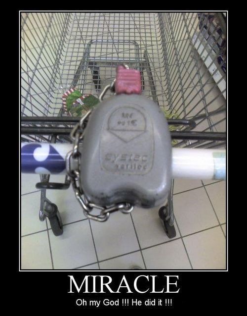 Name:  MOTmiracle.jpg
Views: 608
Size:  53,0 KB