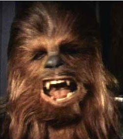 Name:  chewbacca.jpg
Views: 110
Size:  12,9 KB