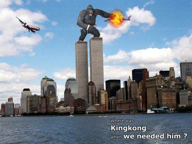 Name:  kingkong.jpg
Views: 888
Size:  48,7 KB