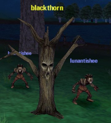 Name:  h-blackthorn.jpg
Views: 491
Size:  26,9 KB