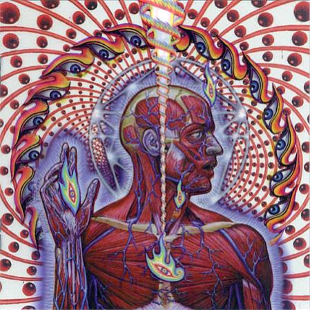 Name:  lateralus.jpg
Views: 53
Size:  60,8 KB