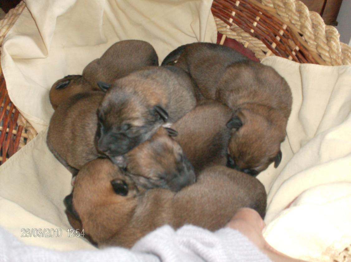 Name:  hpim0743.jpg
Views: 120
Size:  83,4 KB