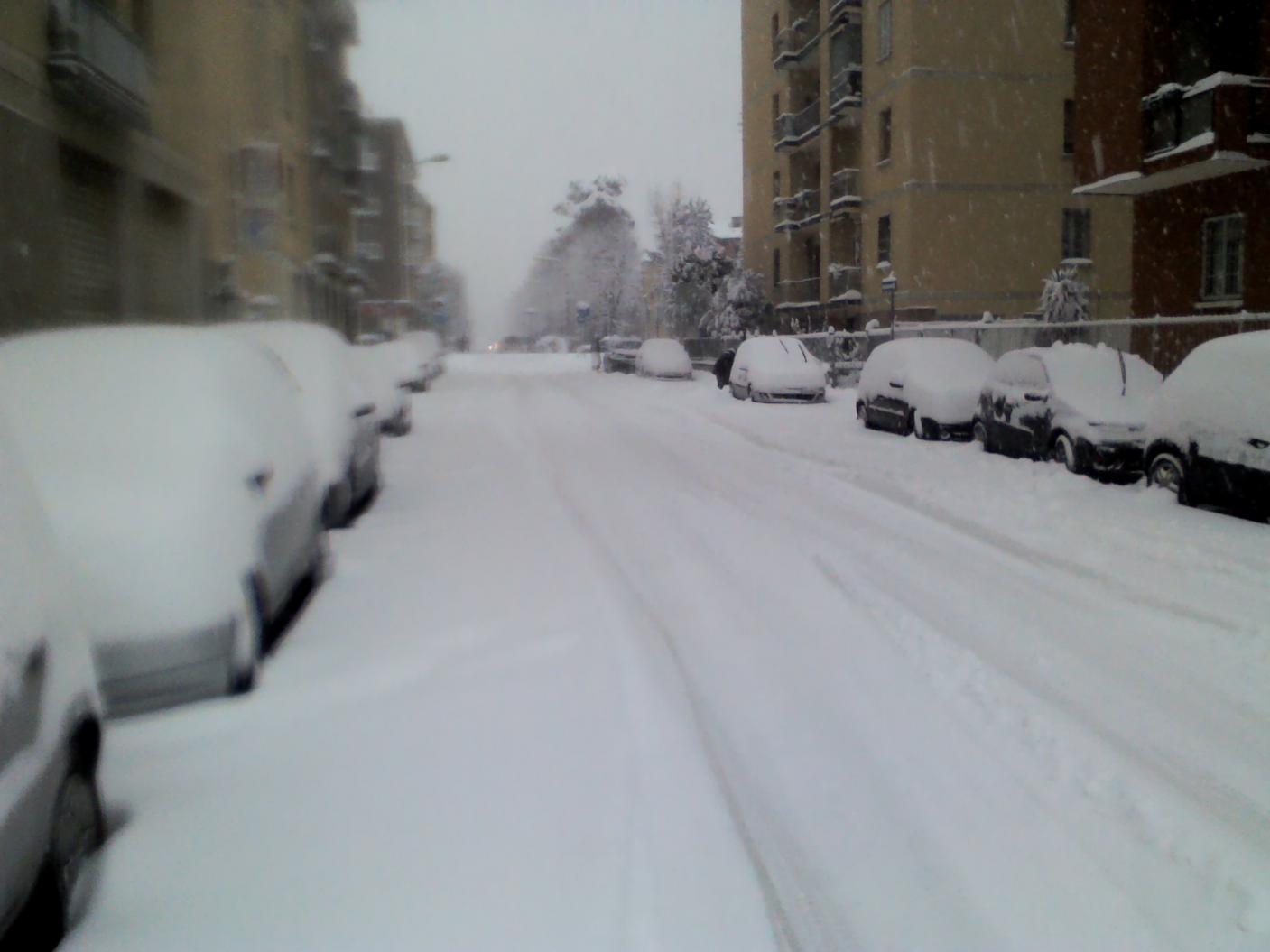 Name:  CameraZOOM-20120201084959823.jpg
Views: 126
Size:  79,0 KB