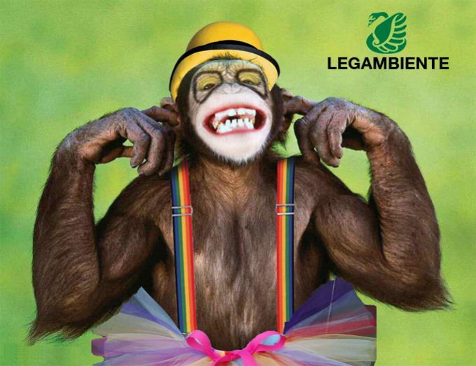 Name:  legambiente.jpg
Views: 60
Size:  53,0 KB