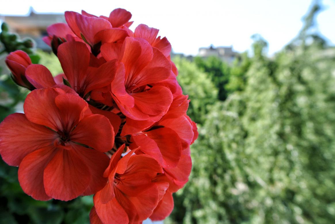 Name:  prova.jpg
Views: 148
Size:  87,5 KB