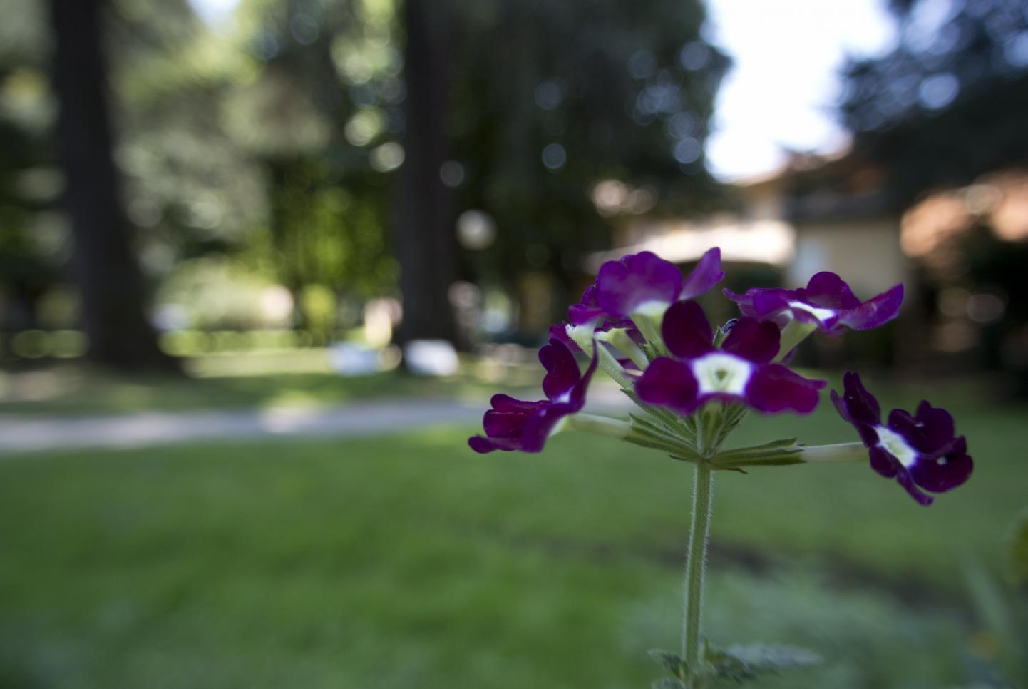 Name:  prova2.jpg
Views: 131
Size:  77,3 KB