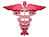 Salvelox's Avatar