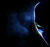 Needle's Avatar