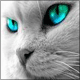 Aura's Avatar