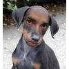 MARTON's Avatar