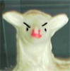 Faramjr's Avatar Faramjr's Avatar